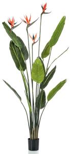 Emerald Umělá Strelitzia 4 rostliny v květináči 150 cm