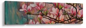 Obraz - Olejomalba, Rozkvetlá sakura (170x50 cm)