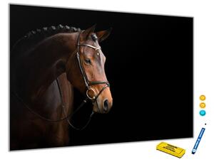 Glasdekor 600 x 400 mm Metalová magnetická tabule - hnědý kůň na černém