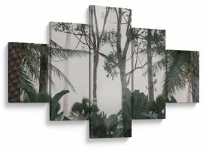 Obraz - Jungle v ranní mlze (125x70 cm)