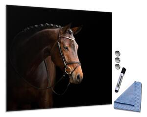Glasdekor Čtverec / 50x50 Skleněná magnetická tabule hnědý kůň na černém podkladu