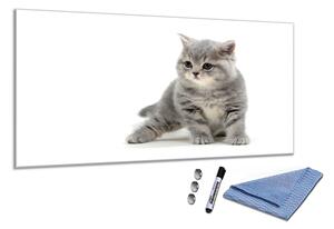 Glasdekor Skleněná magnetická tabule malá šedá kočka S-1921181123-6052