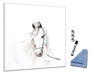 Glasdekor Skleněná magnetická tabule malovaný andaluský kůň S-265671161-5050