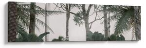 Obraz - Jungle v ranní mlze (170x50 cm)