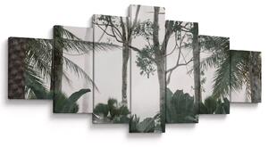 Obraz - Jungle v ranní mlze (210x100 cm)