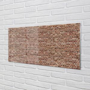 Skleněný panel Cihlové zdi wall 100x50 cm
