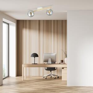 Stropní svítidlo SPLENDI 2 – bílé, grafitové sklo, 2× E14, šířka 55 cm