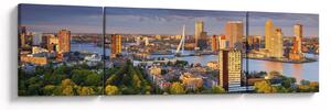 Obraz - Panorama Rotterdamu, Nizozemsko (170x50 cm)