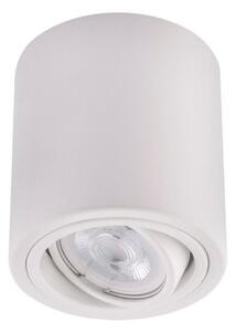 Ledvance - Bodové svítidlo TUBA 1xGU10/50W/230V