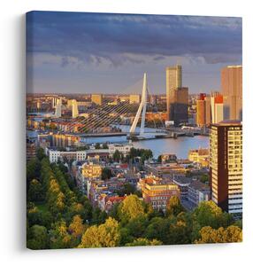 Obraz - Panorama Rotterdamu, Nizozemsko (30x30 cm)