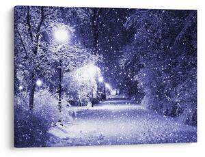 Obraz - Kouzelná zimní noc (70x50 cm)