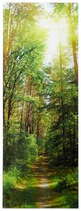 OBRAZ NA SKLE, krajina a příroda, 30/80/1,40 cm Euroart - Skleněné obrazy