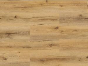 EBS Rigwood vinylová podlaha 18,1x122 dub honey, click systém 2,208 m2