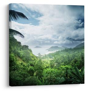 Obraz - Seychelská jungle (30x30 cm)
