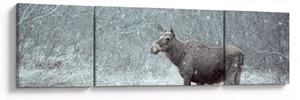 Obraz - Los v zasněženém lese (170x50 cm)