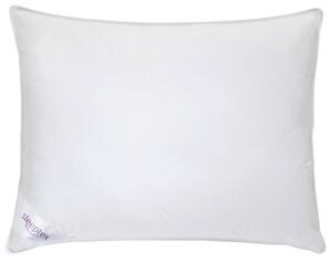 POLŠTÁŘ, 70/90 cm Sleeptex - Polštáře pod hlavu