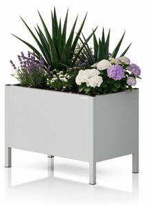 Velký šedý kovový obal na květináč: DAISY 500 x 400 x 300 mm