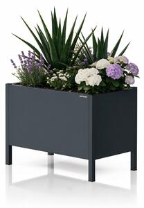 Velký antracitový kovový obal na květináč: DAISY 500 x 400 x 300 mm