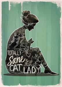 Ilustrace Totally Sane Cat Lady, Andreas Magnusson, (30 x 40 cm)