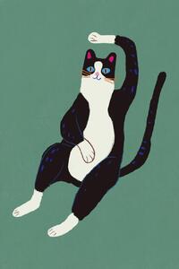 Ilustrace Black and white cat, Little Dean, (26.7 x 40 cm)