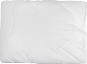 PŘIKRÝVKA PRO 4 ROČNÍ OBDOBÍ, 135/200 cm, duté vlákno - Přikrývky, Online Only