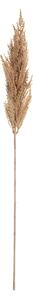 Větvička pampové trávy 90cm beige