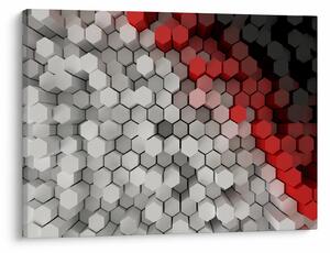 Obraz - 3D hexagony (70x50 cm)