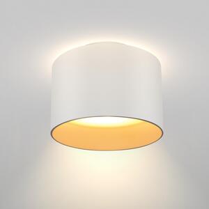 Maytoni Moderní stropní LED svítidlo PLANET, 16W, ⌀ 20 cm Barva: Bílá, Chromatičnost: 3000K
