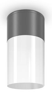Maytoni Moderní stropní svítidlo WILLIS, 60W, ⌀ 80 cm, 1xE27, IP54 Barva: Šedá