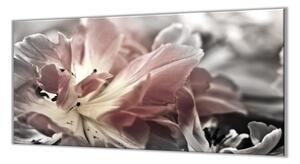 Ochranná deska abstraktní šedý tulipán - 52x60cm / S lepením na zeď