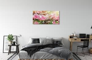 Obrazy na plátně květiny 100x50 cm