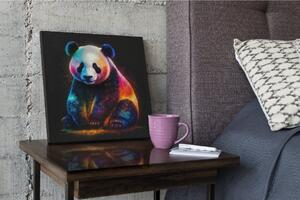 Obraz na plátně - barevná Panda FeelHappy.cz Velikost obrazu: 40 x 40 cm