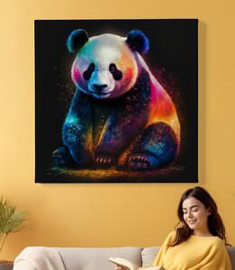 Obraz na plátně - barevná Panda FeelHappy.cz Velikost obrazu: 40 x 40 cm