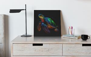 Obraz na plátně - barevná mořská želva FeelHappy.cz Velikost obrazu: 60 x 60 cm