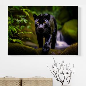 Obraz na plátně - Černý panter hrdě vykračuje u vodopádu FeelHappy.cz Velikost obrazu: 40 x 30 cm