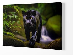 Obraz na plátně - Černý panter hrdě vykračuje u vodopádu FeelHappy.cz Velikost obrazu: 210 x 140 cm