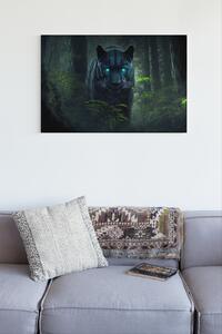 Obraz na plátně - Černý panter (puma) v lese FeelHappy.cz Velikost obrazu: 40 x 30 cm