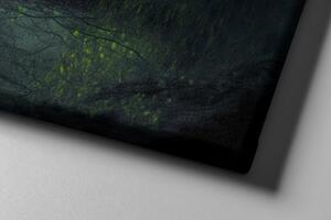 Obraz na plátně - Černý panter (puma) v lese FeelHappy.cz Velikost obrazu: 150 x 100 cm