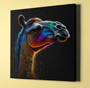 Obraz na plátně - barevný velbloud FeelHappy.cz Velikost obrazu: 40 x 40 cm