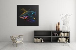 Obraz na plátně - barevný žralok FeelHappy.cz Velikost obrazu: 60 x 60 cm