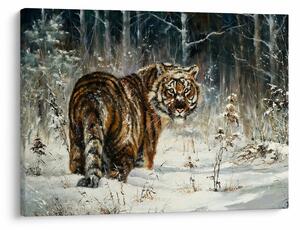 Obraz - Tygr v zasněženém lese, olejomalba (70x50 cm)