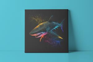 Obraz na plátně - barevný žralok FeelHappy.cz Velikost obrazu: 60 x 60 cm