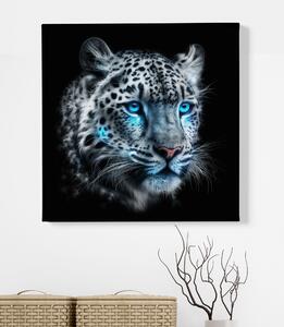 Obraz na plátně - Bílý sněžný Leopard FeelHappy.cz Velikost obrazu: 40 x 40 cm