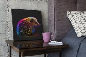 Obraz na plátně - barevný ježek FeelHappy.cz Velikost obrazu: 40 x 40 cm