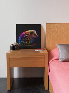 Obraz na plátně - barevný ježek FeelHappy.cz Velikost obrazu: 40 x 40 cm