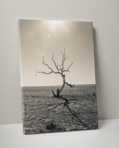 Plakát / Obraz Tree Pololesklý saténový papír S okrajem A4 - 21 x 29,7 cm