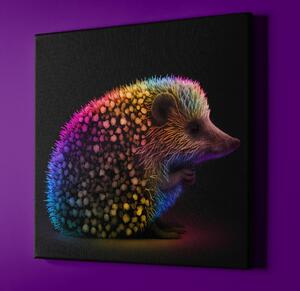 FeelHappy Obraz na plátně - barevný ježek Velikost obrazu: 60 x 60 cm