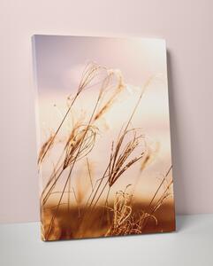 Plakát / Obraz Meadow S okrajem Pololesklý saténový papír 50 x 70 cm