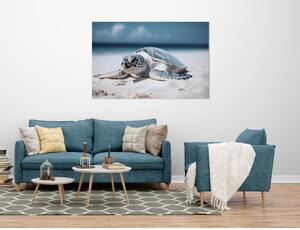 Obraz na plátně - želva na písečné pláži FeelHappy.cz Velikost obrazu: 210 x 140 cm