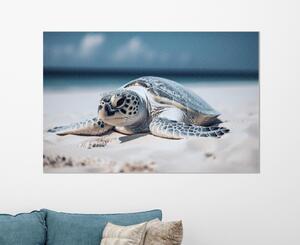Obraz na plátně - želva na písečné pláži FeelHappy.cz Velikost obrazu: 90 x 60 cm